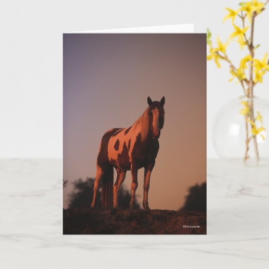 Bob Langrish | Paint Horse Stehend bei Sonnenunter Karte (Gelbe Blume)