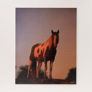 Bob Langrish   Paint Horse Stehend bei Sonnenunter Puzzle