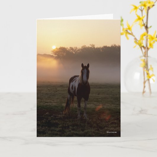 Bob Langrish | Paint Horse Stehend Mist Sunrise Karte (Gelbe Blume)