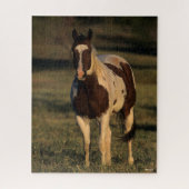 Bob Langrish | Paint Horse Stehend Puzzle (Vertikal)