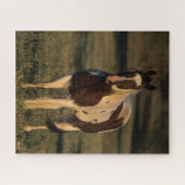 Bob Langrish | Paint Horse Stehend Puzzle (Horizontal)