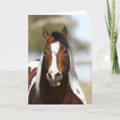 Bob Langrish | Paint Stallion Headshot Karte (Vorderseite)
