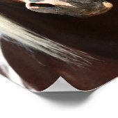 Bob Langrish | Paint Stallion Headshot Poster (Ecke)