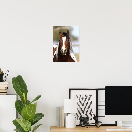 Bob Langrish | Paint Stallion Headshot Poster (Heimbüro)