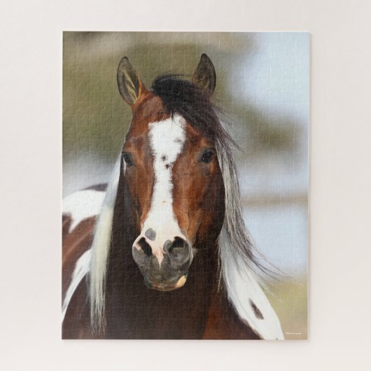 Bob Langrish | Paint Stallion Headshot Puzzle (Vertikal)