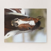 Bob Langrish | Paint Stallion Headshot Puzzle (Horizontal)
