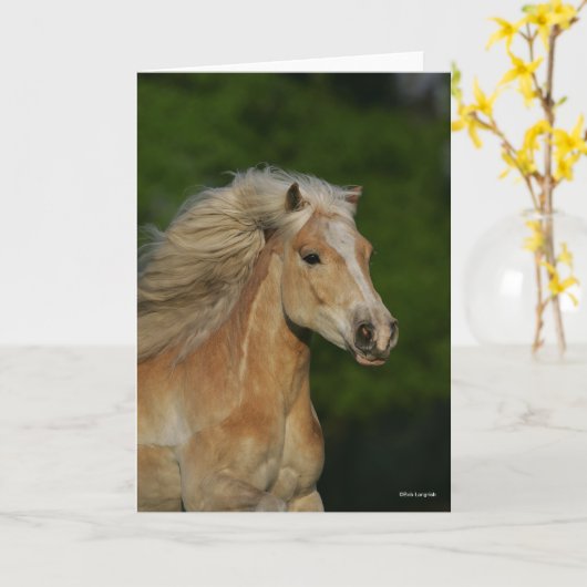 Bob Langrish | Palomino Haflinger Headshot Karte (Gelbe Blume)