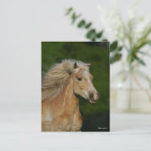Bob Langrish | Palomino Haflinger Headshot Postkarte (Stehend Vorderseite)
