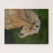 Bob Langrish | Palomino Haflinger Headshot Puzzle (Horizontal)