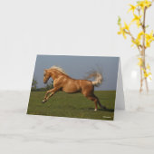 Bob Langrish | Palomino Lusitano Stallion Leaping Karte (Gelbe Blume)