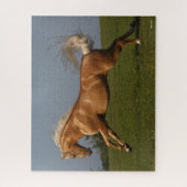Bob Langrish | Palomino Lusitano Stallion Leaping Puzzle (Vertikal)
