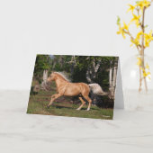 Bob Langrish | Palomino Lusitano Stallion Running Karte (Gelbe Blume)