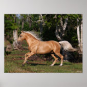 Bob Langrish | Palomino Lusitano Stallion Running Poster (Vorne)