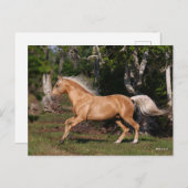 Bob Langrish | Palomino Lusitano Stallion Running Postkarte (Vorne/Hinten)