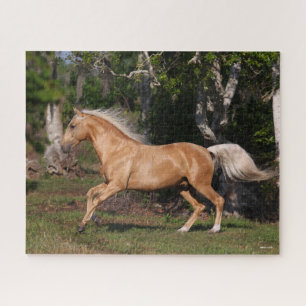 Bob Langrish   Palomino Lusitano Stallion Running Puzzle