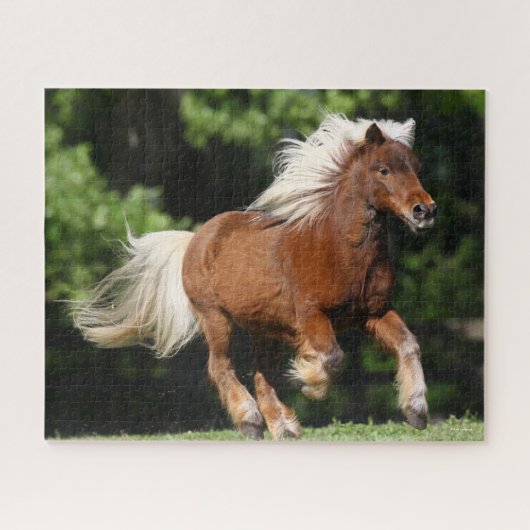 Bob Langrish | Palomino Miniaturpony Running Puzzle (Horizontal)