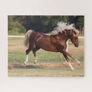 Bob Langrish   Palomino Morgan Pferderücken Puzzle