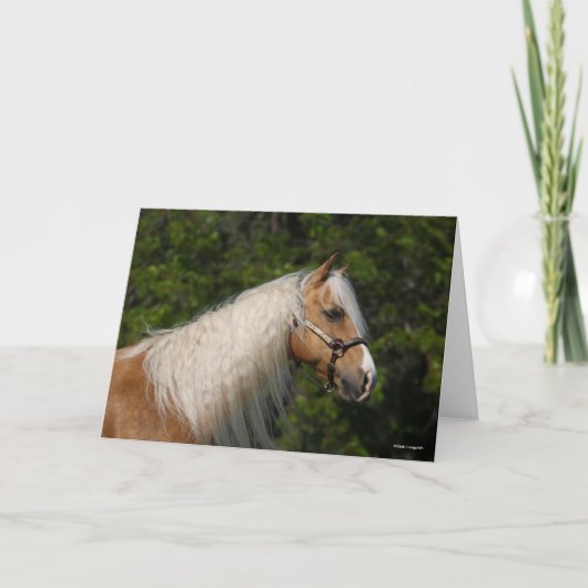 Bob Langrish | Palomino Quarter Horse Headshot Karte (Vorderseite)