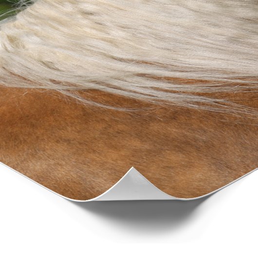 Bob Langrish | Palomino Quarter Horse Headshot Poster (Ecke)