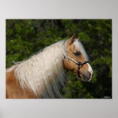 Bob Langrish | Palomino Quarter Horse Headshot Poster (Vorne)