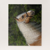 Bob Langrish | Palomino Quarter Horse Headshot Puzzle (Vertikal)