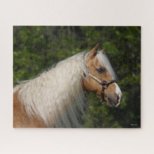 Bob Langrish | Palomino Quarter Horse Headshot Puzzle (Horizontal)