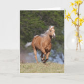 Bob Langrish | Palomino Quarter Rennen Karte (Gelbe Blume)