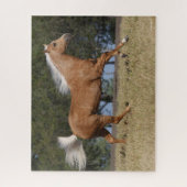 Bob Langrish | Palomino Quarter Rennen Puzzle (Vertikal)