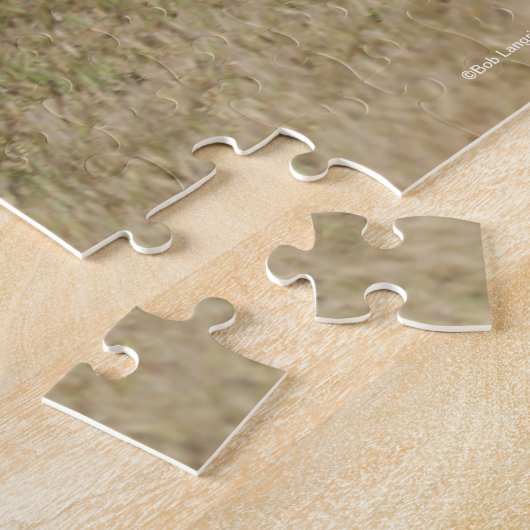 Bob Langrish | Palomino Quarter Rennen Puzzle (Seite)