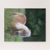 Bob Langrish | Palomino Shetland Stehend im Gras Puzzle (Horizontal)