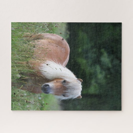 Bob Langrish | Palomino Shetland Stehend im Gras Puzzle (Horizontal)