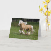 Bob Langrish | Palomino Sinti und Roma Vanner Hors Karte (Gelbe Blume)