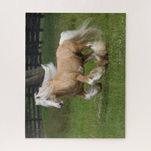 Bob Langrish | Palomino Sinti und Roma Vanner Hors Puzzle (Vertikal)