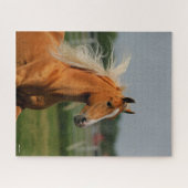 Bob Langrish | Palomino Tennesee Walker Headshot Puzzle (Horizontal)