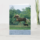 Bob Langrish | Palomino Tennessee Walker and Dog Karte (Vorderseite)