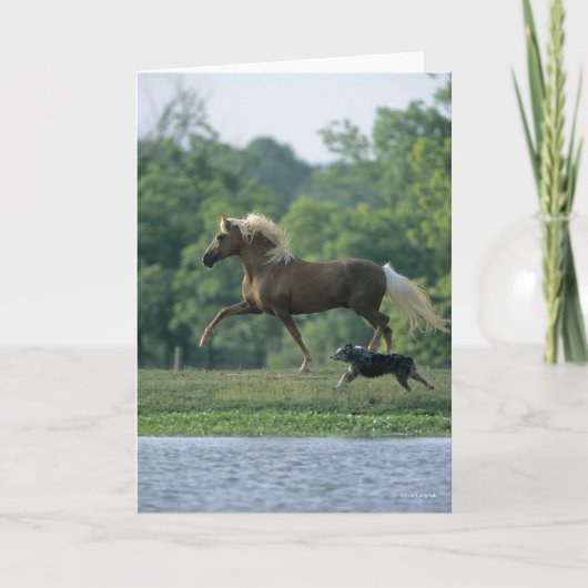 Bob Langrish | Palomino Tennessee Walker and Dog Karte (Vorderseite)