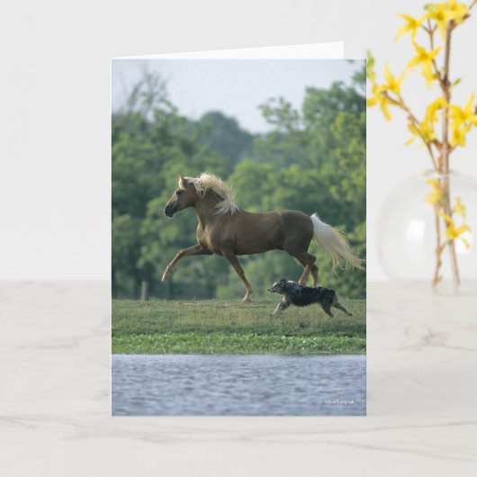 Bob Langrish | Palomino Tennessee Walker and Dog Karte (Gelbe Blume)