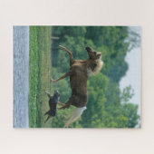 Bob Langrish | Palomino Tennessee Walker and Dog Puzzle (Horizontal)