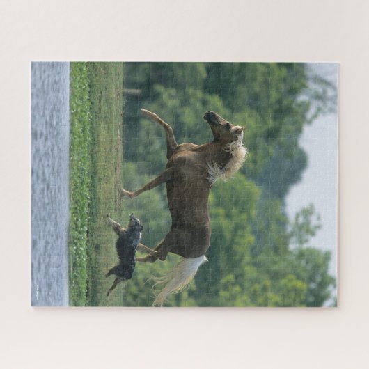 Bob Langrish | Palomino Tennessee Walker and Dog Puzzle (Horizontal)