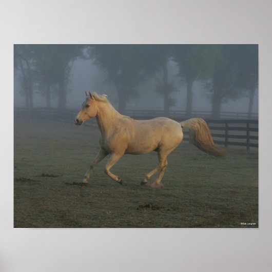 Bob Langrish | Palomino Tennessee Walker in Mist Poster (Vorne)