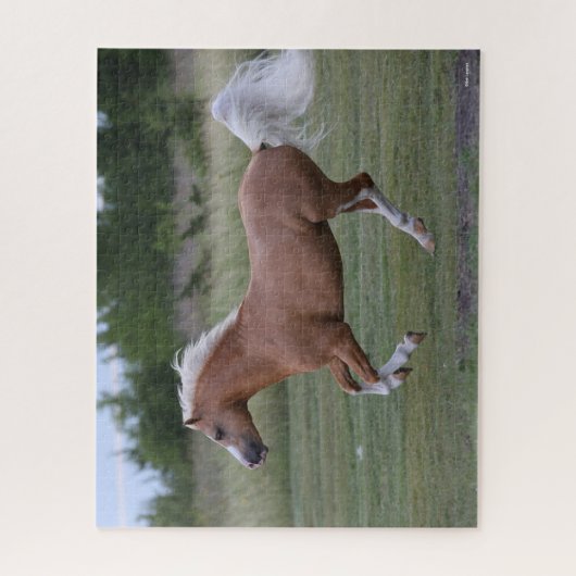 Bob Langrish | Palomino Welsh Pony Running Puzzle (Vertikal)