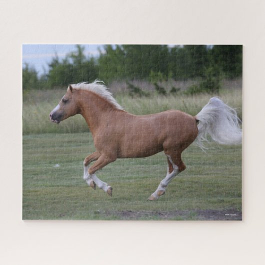 Bob Langrish | Palomino Welsh Pony Running Puzzle (Horizontal)