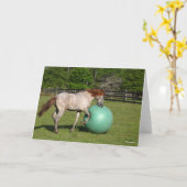 Bob Langrish | Paso Fino Pferd mit Ball spielen Karte (Gelbe Blume)