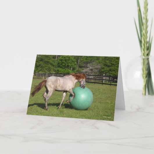 Bob Langrish | Paso Fino Pferd mit Ball spielen Karte (Vorderseite)