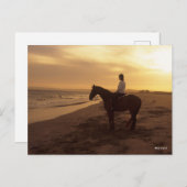 Bob Langrish | Pferd und Reiter On Beach bei Sunse Postkarte (Vorne/Hinten)