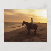 Bob Langrish | Pferd und Reiter On Beach bei Sunse Postkarte (Vorderseite)