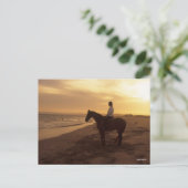 Bob Langrish | Pferd und Reiter On Beach bei Sunse Postkarte (Stehend Vorderseite)
