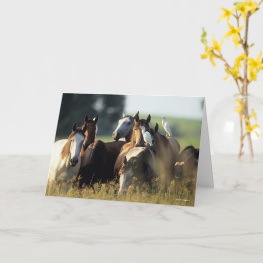 Bob Langrish | Pferdebestand, mit Vögeln Stehend Karte (Gelbe Blume)