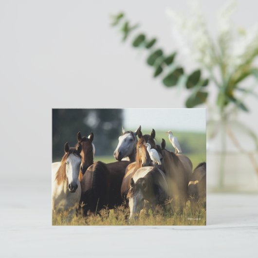 Bob Langrish | Pferdebestand, mit Vögeln Stehend Postkarte (Stehend Vorderseite)