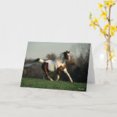 Bob Langrish | Pinto Arab Mane and Schwanz Flows Karte (Gelbe Blume)